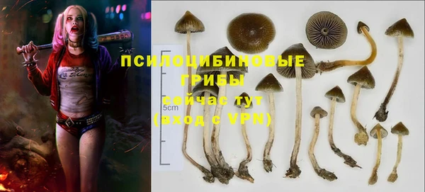 спиды Абдулино