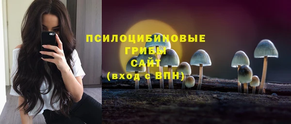 ПСИЛОЦИБИНОВЫЕ ГРИБЫ Абаза
