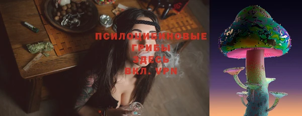 мяу мяу мука Переславль-Залесский