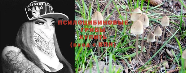 мяу мяу мука Переславль-Залесский