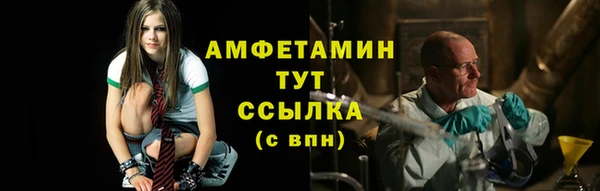 прущие крисы Пересвет