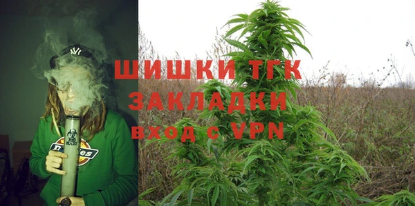 ПСИЛОЦИБИНОВЫЕ ГРИБЫ Абаза
