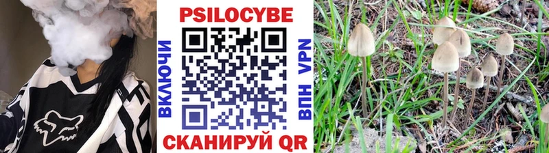 Галлюциногенные грибы ЛСД цены Благодарный